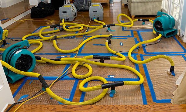 Professional Burst Pipe Water Damage technician working in Kokomo, IN